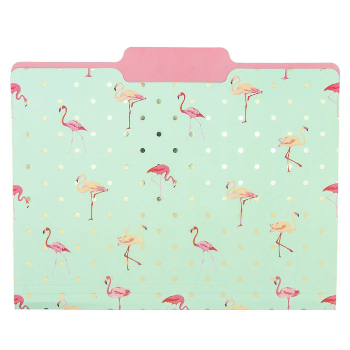 Flamingo Pink File Folder Set - Graphique de France