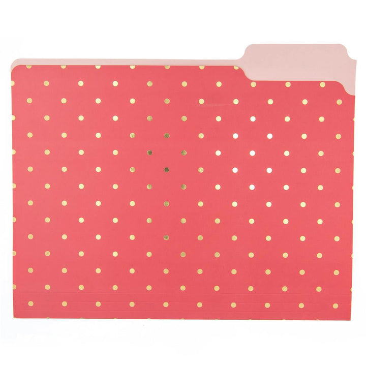 Flamingo Pink File Folder Set - Graphique de France