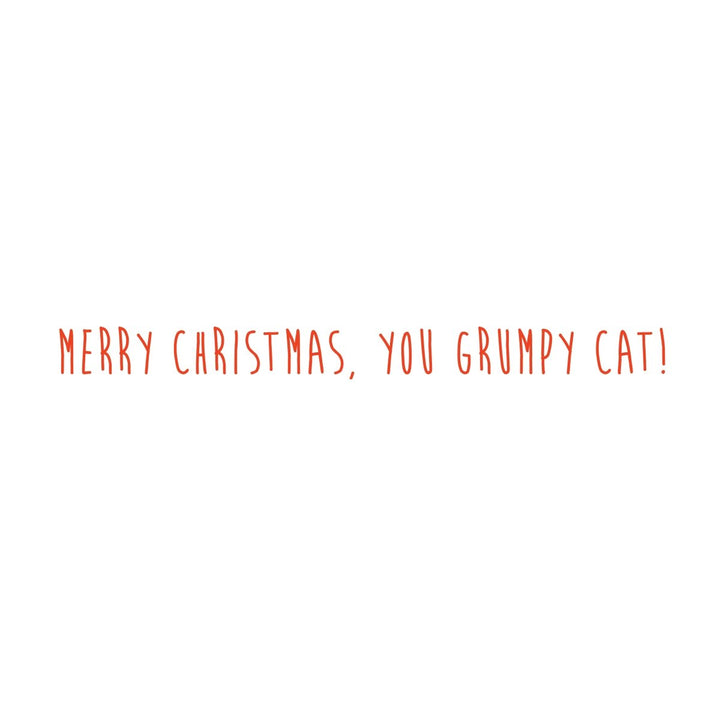 Grumpy Cat Mid - Sized Holiday Boxed Card - Graphique de France