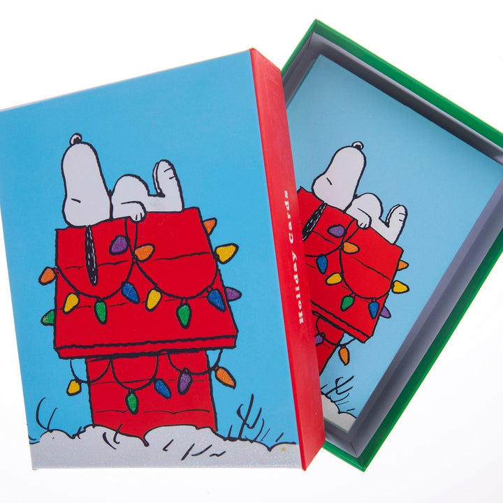 Peanuts&#8482; Holiday Assorted Boxed Card - Graphique de France
