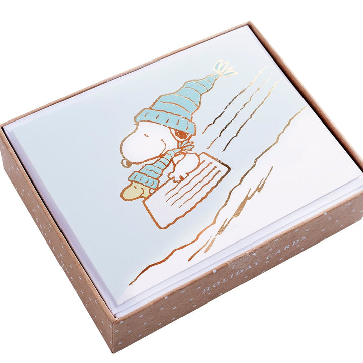 Peanuts&#8482; Sledding Light Blue Mid - Sized Holiday Boxed Card - Graphique de France